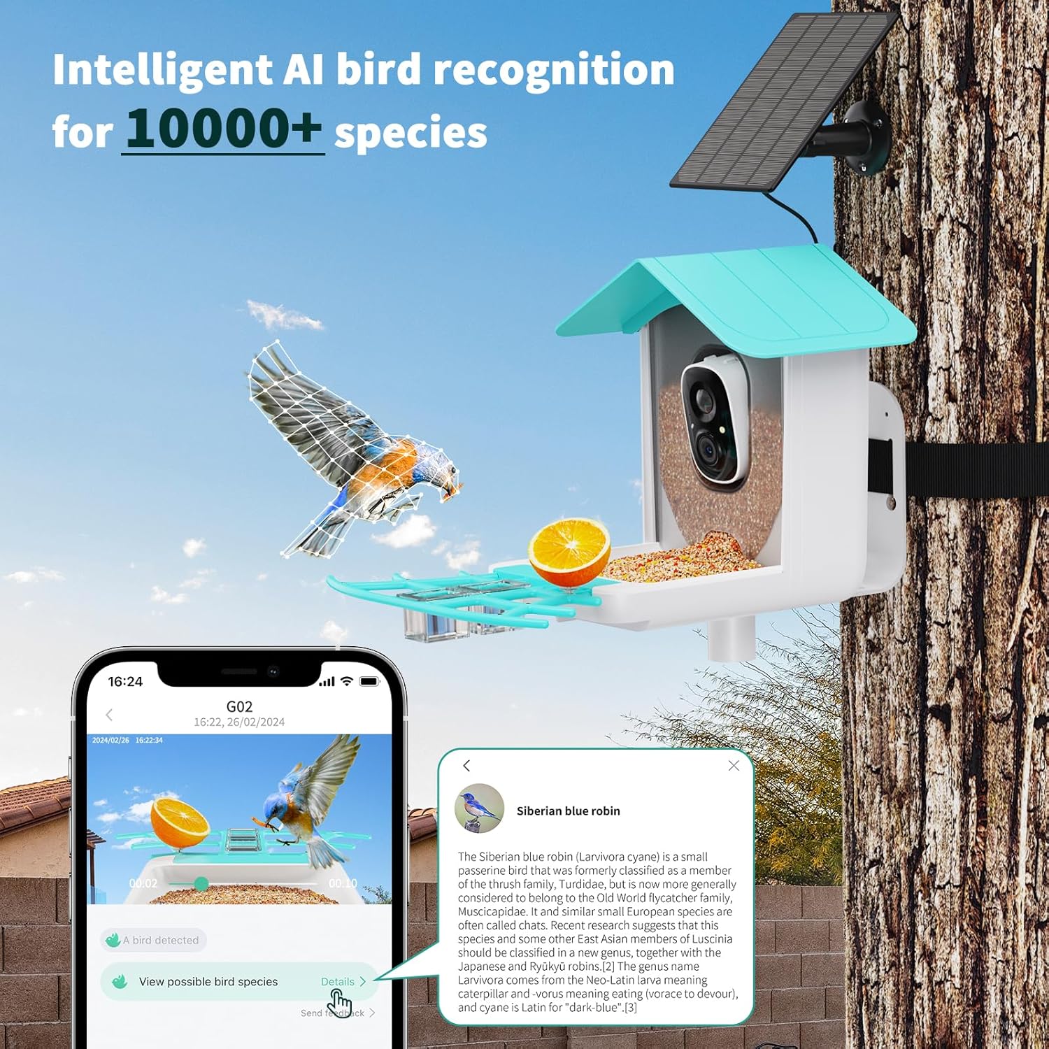 Karmnik dla Ptaków z Kamerą WiFi VicoHome G02 – Smart Bird Feeder z Panelem Solarnym