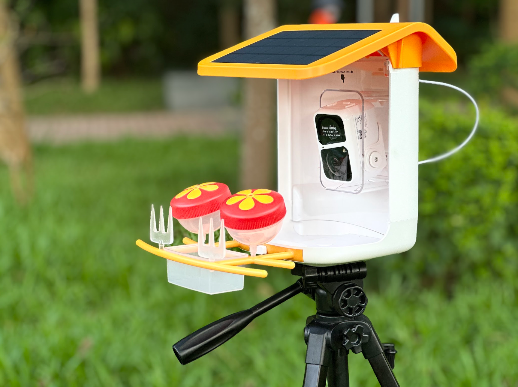 Karmnik dla Ptaków z Kamerą WiFi VicoHome G03 – Smart Bird Feeder z Panelem Solarnym