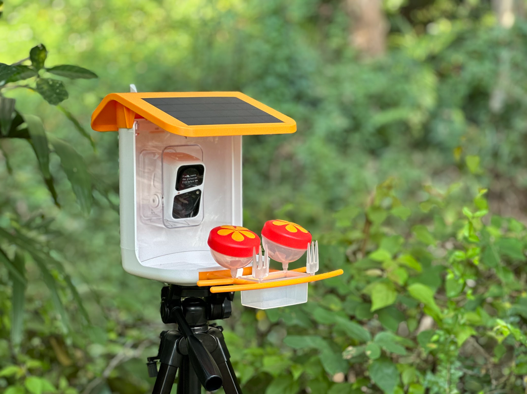 Karmnik dla Ptaków z Kamerą WiFi VicoHome G03 – Smart Bird Feeder z Panelem Solarnym