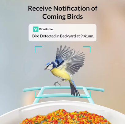 Karmnik dla Ptaków z Kamerą WiFi VicoHome G02 – Smart Bird Feeder z Panelem Solarnym